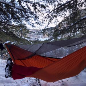 red Backwoods Pro Hammockwith bug net in the snow.