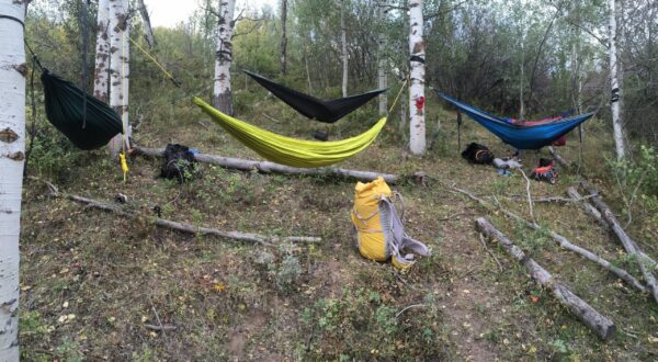 variety of custom handmade hammock camping gear set up in the forest